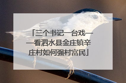 三个书记一台戏——看泗水县金庄镇辛庄村如何强村富民