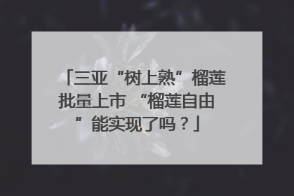 三亚“树上熟”榴莲批量上市 “榴莲自由”能实现了吗？