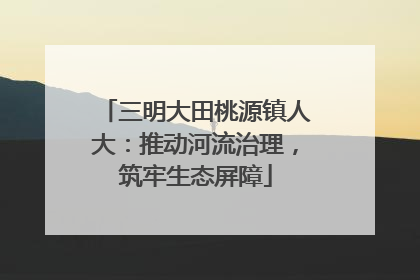 三明大田桃源镇人大：推动河流治理，筑牢生态屏障