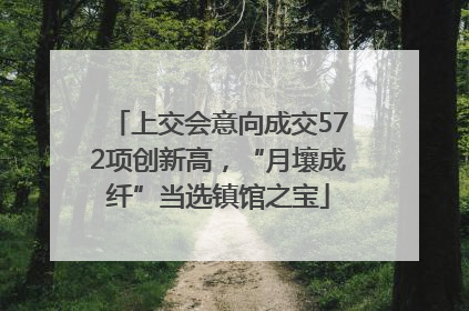 上交会意向成交572项创新高，“月壤成纤”当选镇馆之宝