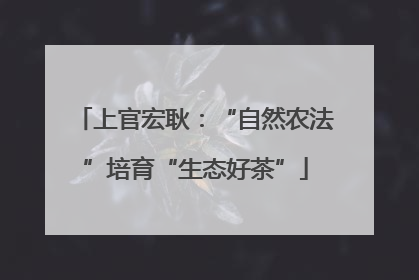 上官宏耿：“自然农法”培育“生态好茶”