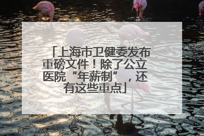 上海市卫健委发布重磅文件！除了公立医院“年薪制”，还有这些重点