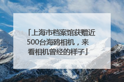 上海市档案馆获赠近500台海鸥相机，来看相机曾经的样子