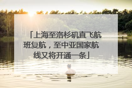 上海至洛杉矶直飞航班复航，至中亚国家航线又将开通一条