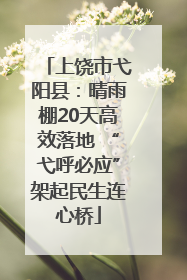上饶市弋阳县：晴雨棚20天高效落地 “弋呼必应”架起民生连心桥