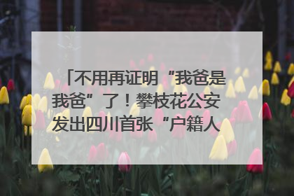 不用再证明“我爸是我爸”了！攀枝花公安发出四川首张“户籍人口直系亲属关系谱”