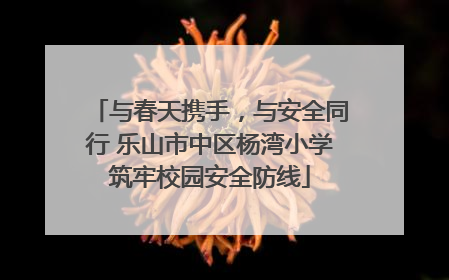 与春天携手，与安全同行 乐山市中区杨湾小学筑牢校园安全防线