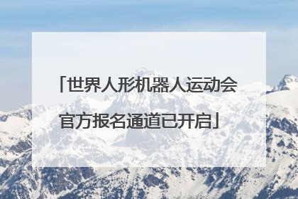 世界人形机器人运动会官方报名通道已开启