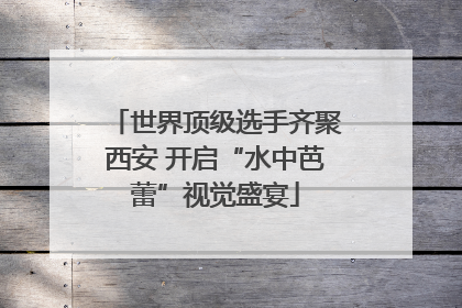 世界顶级选手齐聚西安 开启“水中芭蕾”视觉盛宴