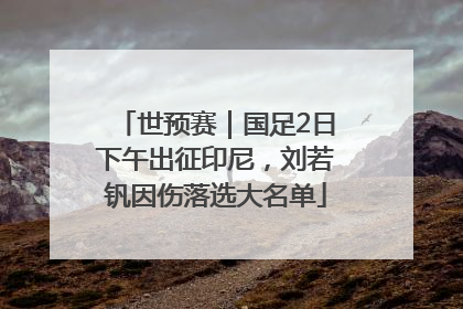 世预赛｜国足2日下午出征印尼，刘若钒因伤落选大名单