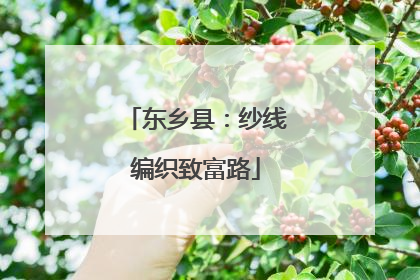 东乡县：纱线编织致富路