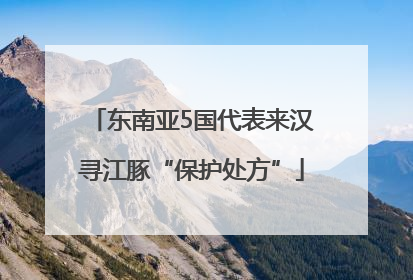 东南亚5国代表来汉寻江豚“保护处方”