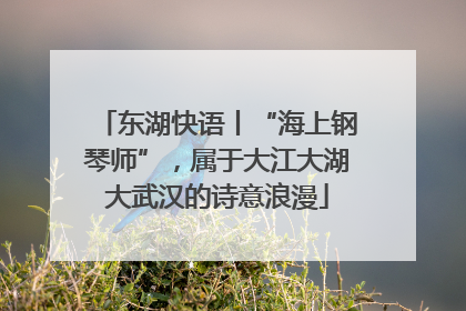 东湖快语丨“海上钢琴师”，属于大江大湖大武汉的诗意浪漫