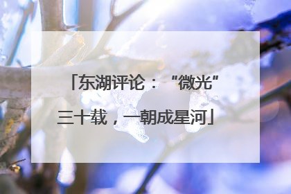 东湖评论：“微光”三十载，一朝成星河
