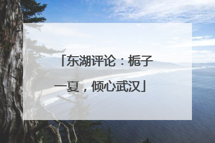 东湖评论：栀子一夏，倾心武汉