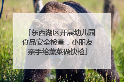 东西湖区开展幼儿园食品安全检查，小朋友亲手给蔬菜做快检