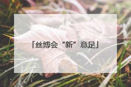 丝博会“新”意足