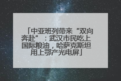 中亚班列带来“双向奔赴”：武汉市民吃上国际粮油，哈萨克斯坦用上鄂产光电屏