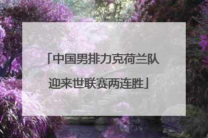 中国男排力克荷兰队 迎来世联赛两连胜