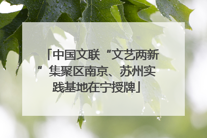 中国文联“文艺两新”集聚区南京、苏州实践基地在宁授牌
