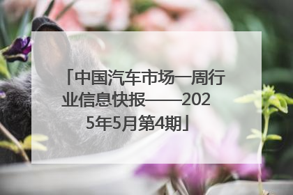 中国汽车市场一周行业信息快报——2025年5月第4期