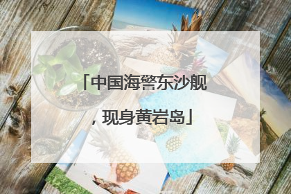 中国海警东沙舰，现身黄岩岛