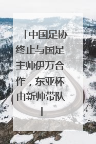 中国足协终止与国足主帅伊万合作，东亚杯由新帅带队
