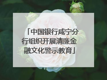 中国银行咸宁分行组织开展清廉金融文化警示教育