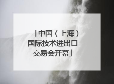 中国（上海）国际技术进出口交易会开幕