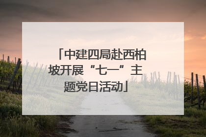 中建四局赴西柏坡开展“七一”主题党日活动