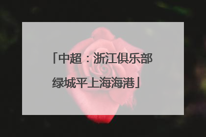 中超：浙江俱乐部绿城平上海海港