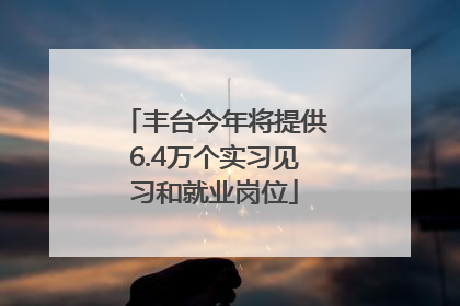 丰台今年将提供6.4万个实习见习和就业岗位