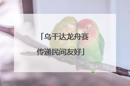 乌干达龙舟赛传递民间友好