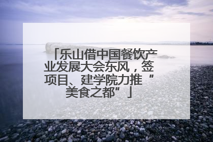 乐山借中国餐饮产业发展大会东风，签项目、建学院力推“美食之都”