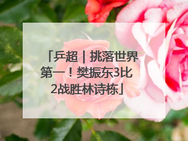 乒超｜挑落世界第一！樊振东3比2战胜林诗栋