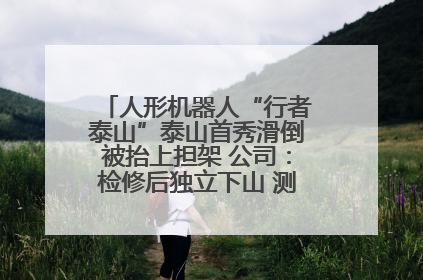 人形机器人“行者泰山”泰山首秀滑倒被抬上担架 公司：检修后独立下山 测试就是为暴露问题