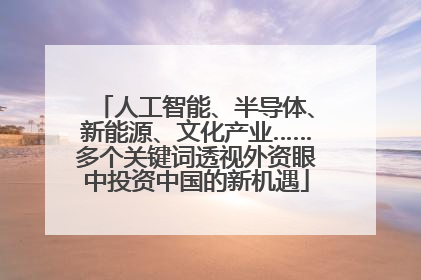 人工智能、半导体、新能源、文化产业……多个关键词透视外资眼中投资中国的新机遇