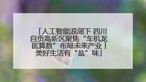 人工智能浪潮下 四川自贡高新区聚焦“车机龙医算数”布局未来产业丨美好生活有“盐”味