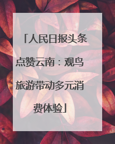 人民日报头条点赞云南：观鸟旅游带动多元消费体验