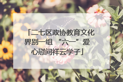 二七区政协教育文化界别一组 “六一”爱心慰问祥云学子