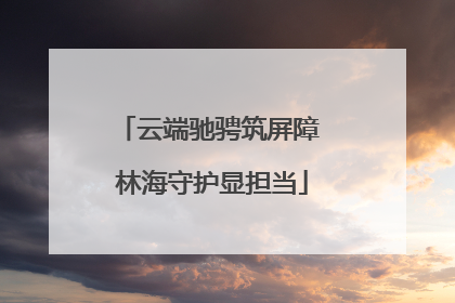 云端驰骋筑屏障 林海守护显担当