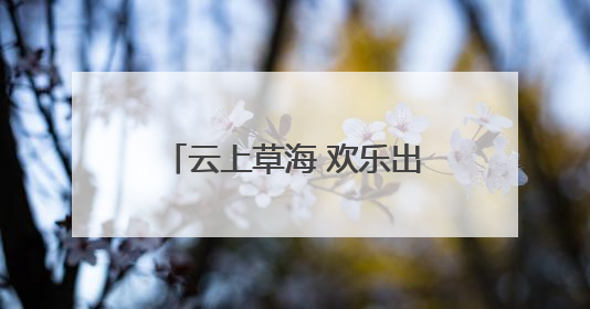 云上草海 欢乐出圈——有一种叫云南的生活之365天
