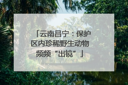 云南昌宁：保护区内珍稀野生动物频频“出镜”