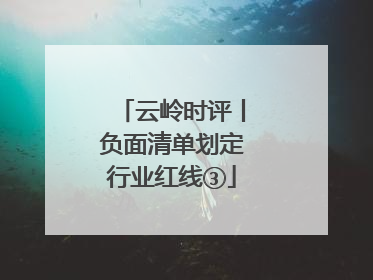 云岭时评丨负面清单划定行业红线③