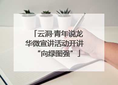 云洞·青年说龙华微宣讲活动开讲“向绿图强”