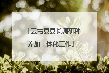 云霄县县长调研种养加一体化工作