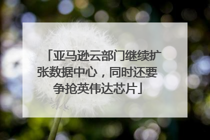 亚马逊云部门继续扩张数据中心，同时还要争抢英伟达芯片