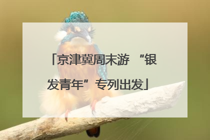 京津冀周末游 “银发青年”专列出发