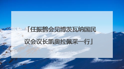 任振鹤会见博茨瓦纳国民议会议长凯奥拉佩采一行
