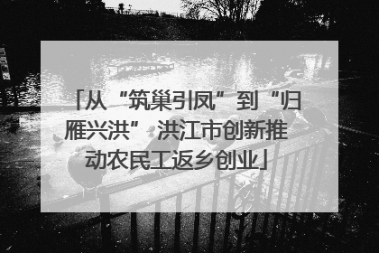 从“筑巢引凤”到“归雁兴洪” 洪江市创新推动农民工返乡创业